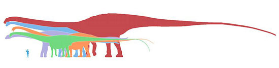 معروف‌ترین دایناسورهای جهان: آرژانتینوساروس