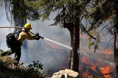 مهار آتش سوزی جنگل های کالیفرنیا