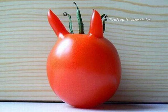 سبزیجاتی شبیه به یک چیز دیگه!!! +عکس