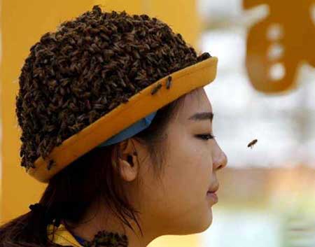 عکسهای جالب,جشنواره زنبورداری ,عکسهای جذاب
