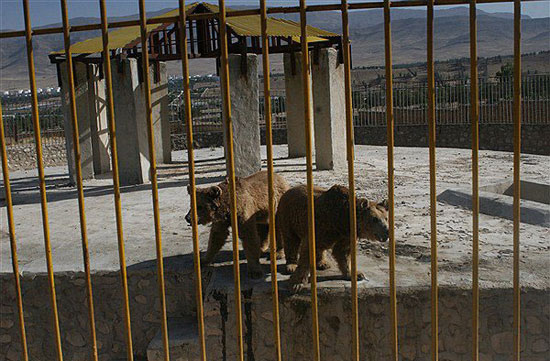 وضعیت اسفبار حیوانات یک باغ‌وحش + عکس