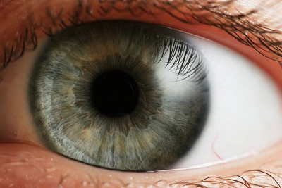 چشم,کشف عضوی جدید در بدن