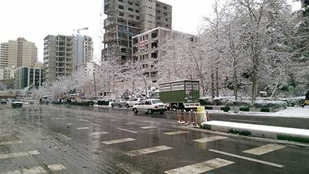 اخبار,اخباراجتماعی  ,بارش برف در تهران