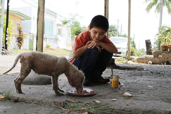 پسری 9 ساله که ناجی حیوانات بی خانمان شد +عکس
