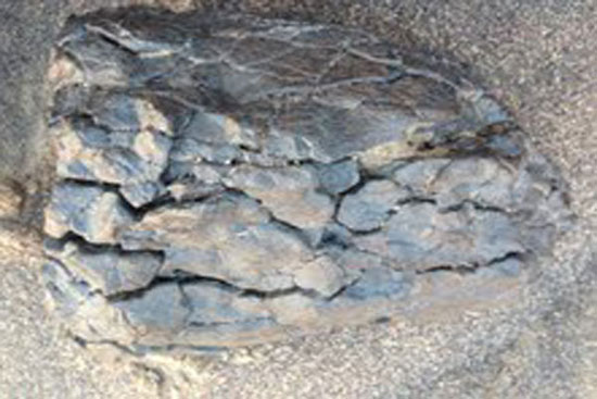 کشف دومین شهاب سنگ بزرگ ایران پس از 134 سال در بیابان لوت