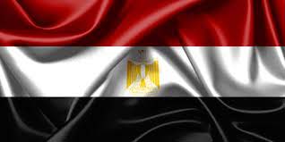ترورفرمانده ارتش مصر,خنثی شدن توطئه برای ترورالبرادعی,ترور وزیر کشورمصر