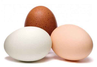 اصول نگهداری از تخم مرغ,بهترین روش و مکان نگهداری از تخم مرغ