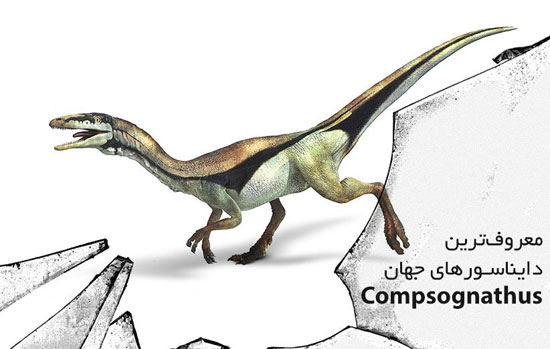 معروف‌ترین دایناسورهای جهان: كامپسوگناتوس