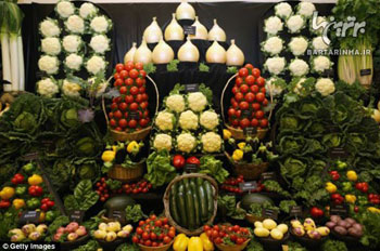 مسابقه سبزیجات غول پیکر , بزرگترین سبزیجات