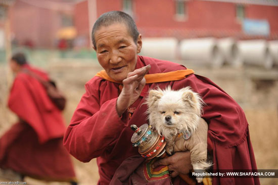 یک روز در سرزمین راز آلود تبت +عکس