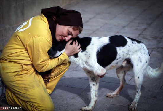 (تصاویر) زنان حامیِ حیوانات بی پناه
