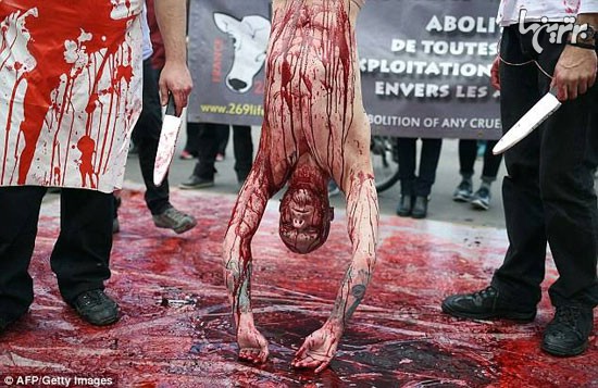 تظاهرات نمایشی مدافعان حیوانات در پاریس
