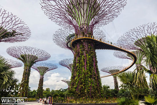 باغ خلیجی سنگاپور