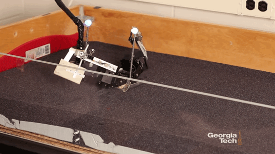 11 رباتی که شبیه به حیوانات و حشره ها طراحی شده اند