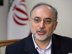 علی اکبر صالحی ,  نیروگاه اتمی بوشهر