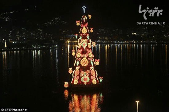 بزرگترین درخت کریسمس جهان +عکس