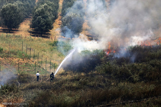 آتش سوزی در اراضی جنگلی روستای توشن گرگان