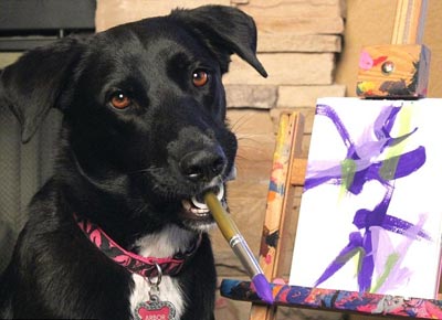 نقاشی کشیدن سگ,اخبار گوناگون