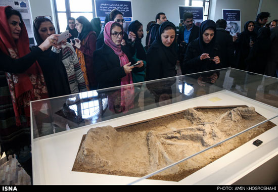 خانه جدید زن 7 هزار ساله تهران +عکس