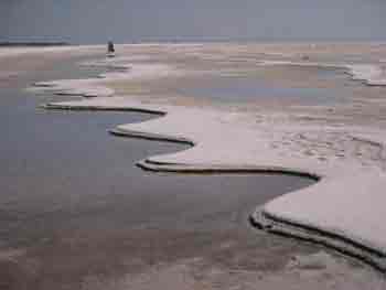 پیاده‌روی‌ 45 کیلومتری مدیر ‌دولتی برای نجات دریاچه‌ ارومیه