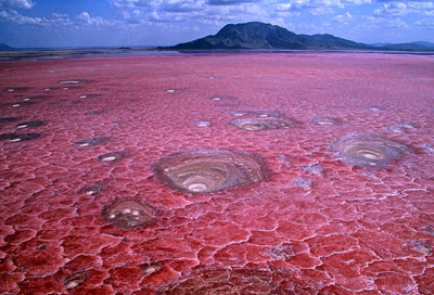 دریاچه نمک ناترون در تانزانیا