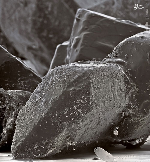 تصاویری خارق‌العاده از خوراکی‌ها زیر میکروسکوپ