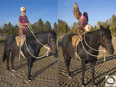 دختر اسب سوار,مهارتهای اسب سواری