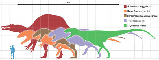 معروف‌ترین دایناسورهای جهان: اسپینوساروس