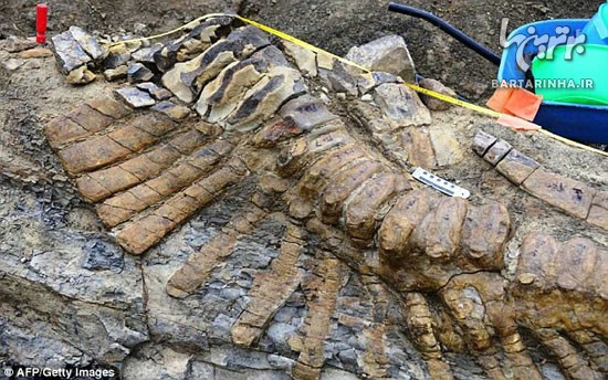 کشف فسیل دایناسور 72 میلیون ساله +عکس