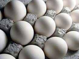 افزایش قیمت تخم مرغ,قیمت تخم مرغ,گرانی مرغ و تخم مرغ