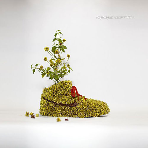 باغچه ای روی کفش های کتانی نایک +عکس