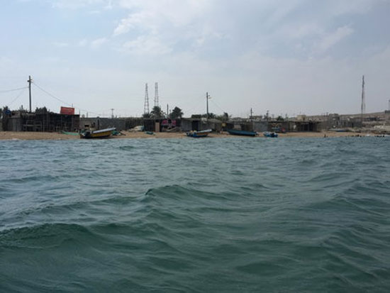 پری‌های دریایی در 43 مایلی آب‌های ایران + عکس
