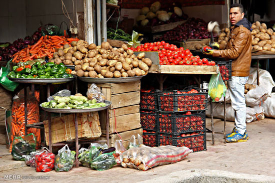 بازار میوه و تره بار ایلام